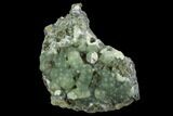 Botryoidal Prehnite Crystal Cluster - Connecticut #100174-1